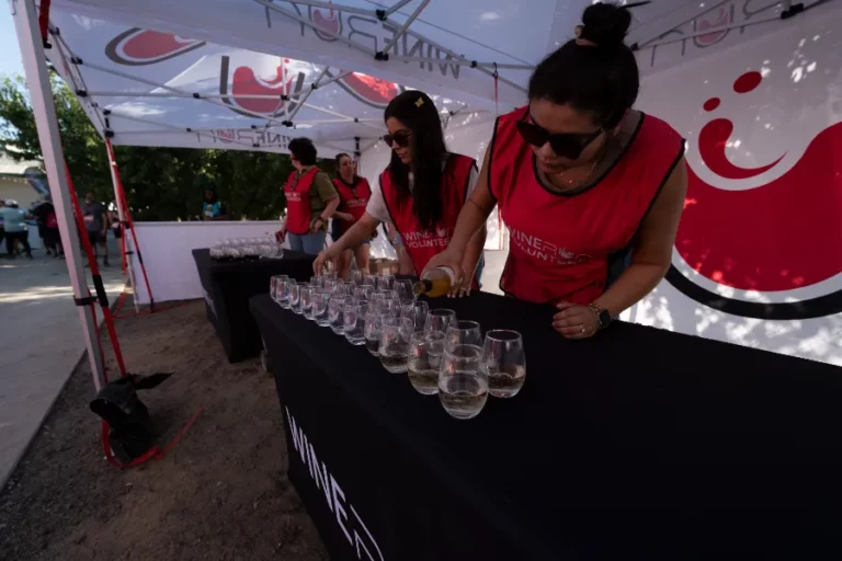 Wicked WineRun 5k Fresno 2024 7 - Wicked Wine Run - wine run 5k